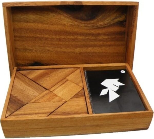 Logic Tangram Set with Play Cards